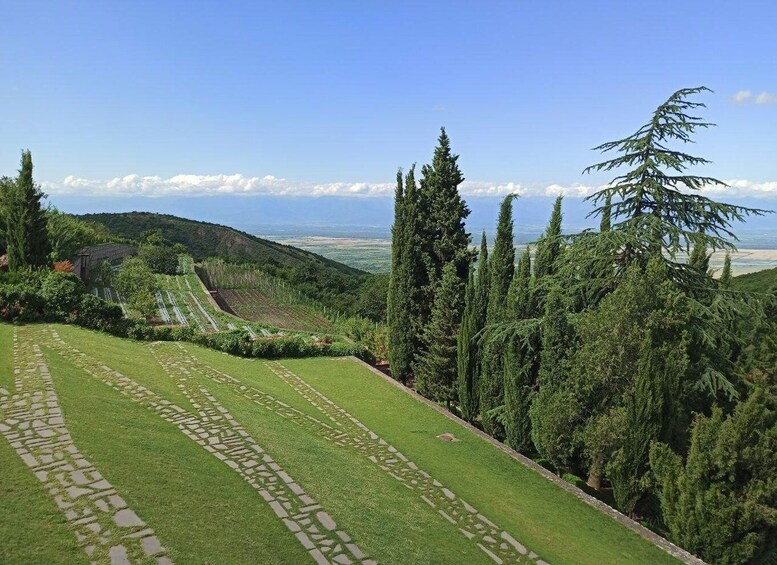 A well-manicured lawn with stone pathways, tall trees, and a distant view of a beach and mountains under a clear sky. 3