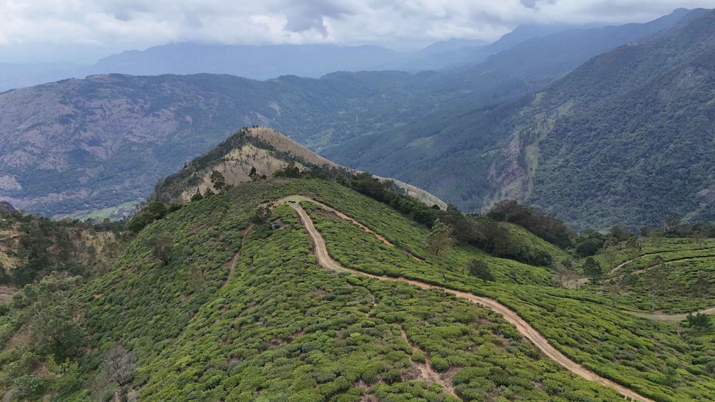 A mountainous landscape with terraced tea plantations and a winding path. 4