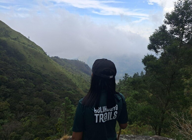 A person standing on a hill overlooking a forested valley with a cloudy sky. 1