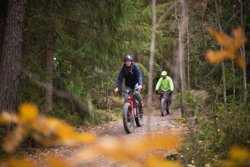 Two people riding mountain bikes on a forest trail. 4