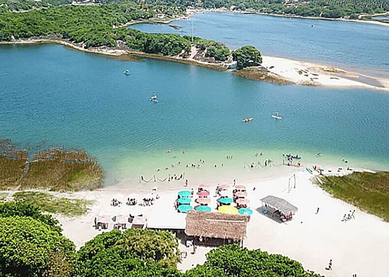 A beach with people swimming and sunbathing, surrounded by greenery and a small hut. 2