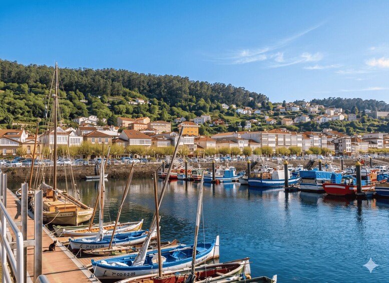 A marina with boats docked, a wooden pier, and a town with houses and greenery in the background. 4