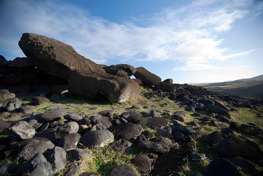 Picture 2 for Activity Rapa Nui: Guided Archaeology Tour in the Footsteps of the Moai 3