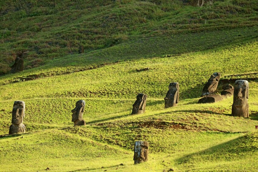 Picture 1 for Activity Rapa Nui: Guided Archaeology Tour in the Footsteps of the Moai 4
