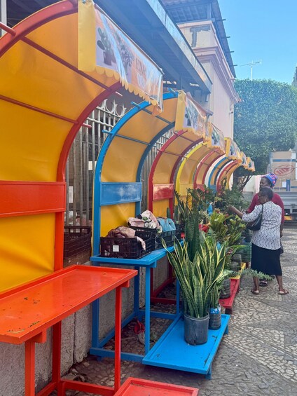 A colorful outdoor market stall with crates and potted plants. 4