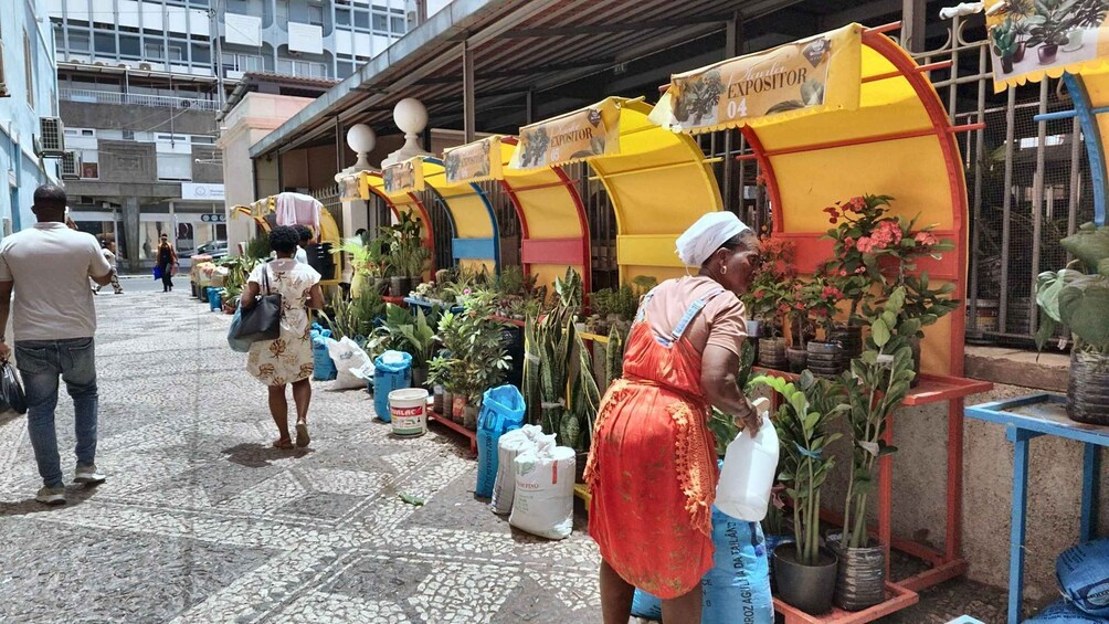 Picture 8 for Activity Praia City Highlights: Museums, Markets & Local Lunch 4