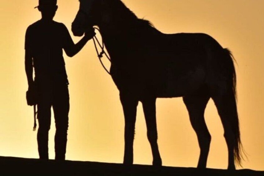 Taghazout Sunset Horse Ride 5