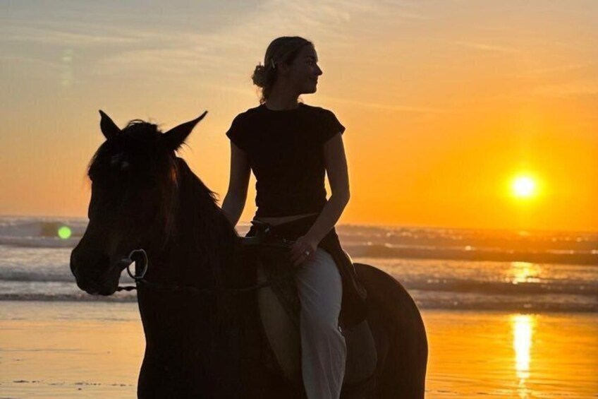 A person riding a horse on a beach at sunset. 3