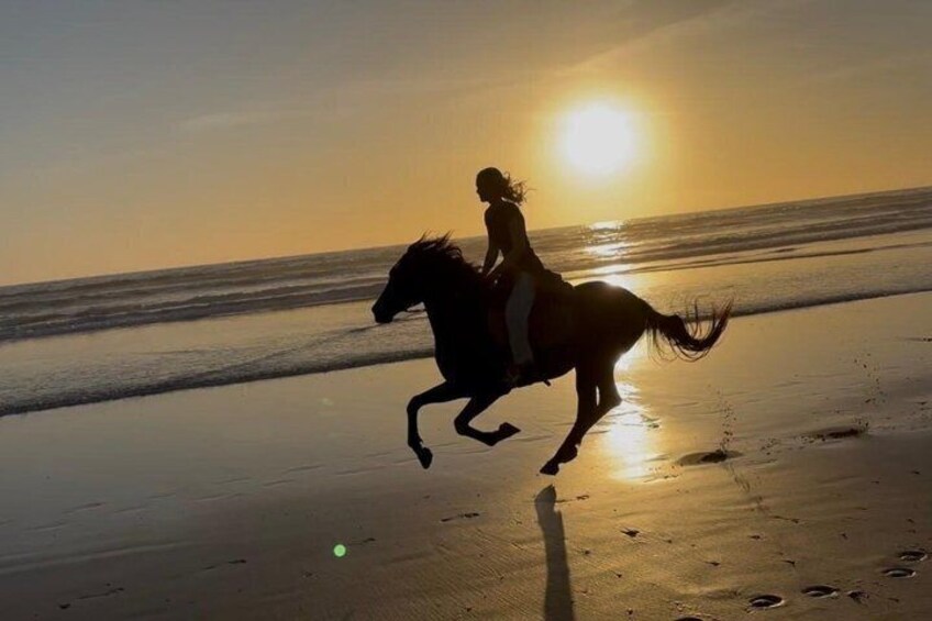 A silhouette of a person riding a horse on a beach at sunset. 4