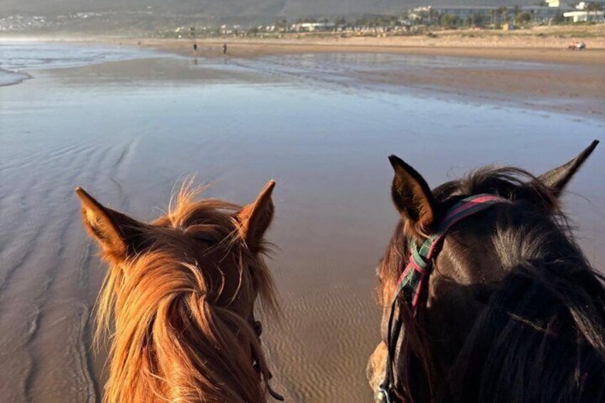 Taghazout Sunset Horse Ride 3