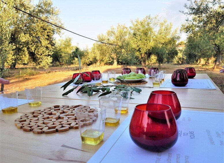 An outdoor dining setup with a table set for a meal, surrounded by olive trees. 1