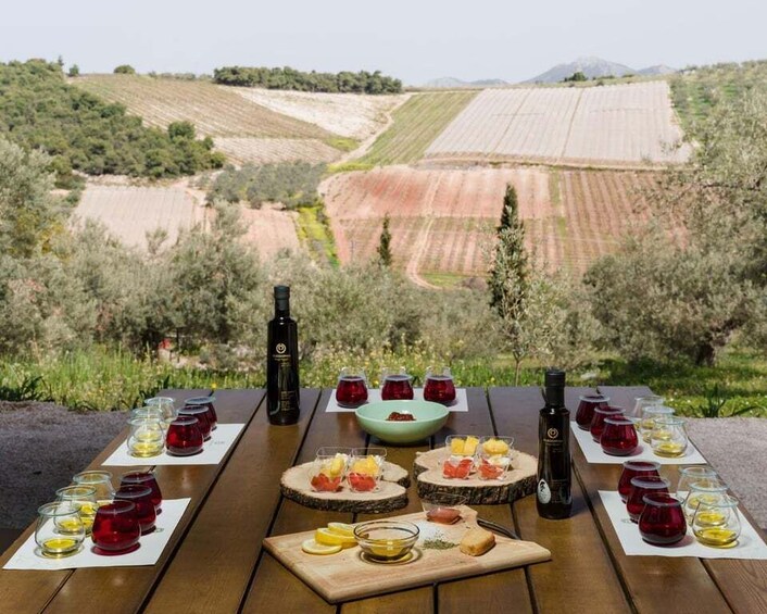 A picnic table set with wine glasses, bottles, and food in a vineyard. 3