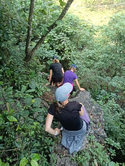 A group of people hiking through a dense forest with lush greenery and rocky terrain. 5