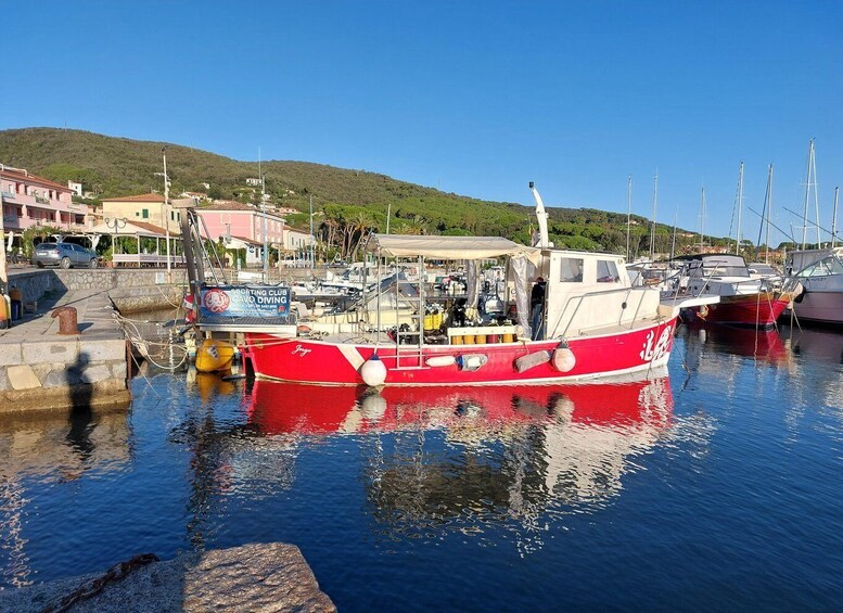 A red and white boat docked at a marina with buildings and a hill in the background. 2