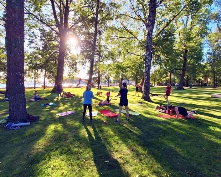People exercising outdoors in a park with trees and grass. 1