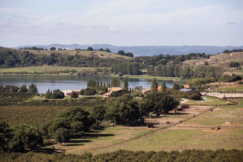 A lake surrounded by hills, vineyards, and scattered buildings. 1