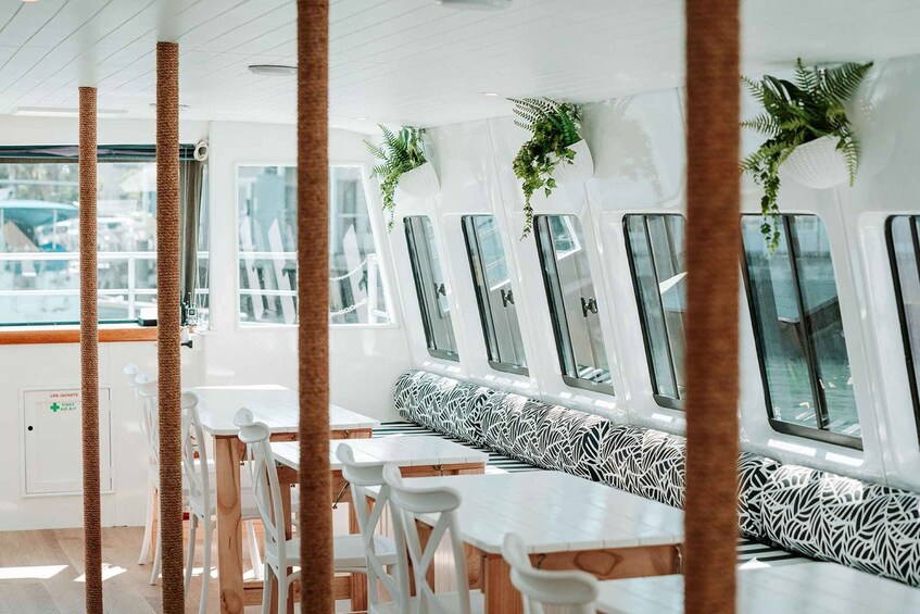 A boat interior with white furniture, a zebra-striped bench, and potted plants. 4