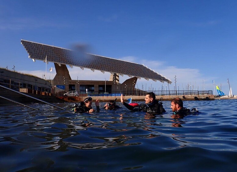 Divers in water near a building with a large solar panel roof. 4