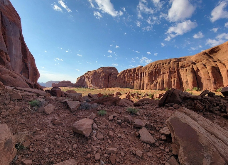 Picture 1 for Activity Monument Valley: Backcountry Tour with Navajo Guide 3