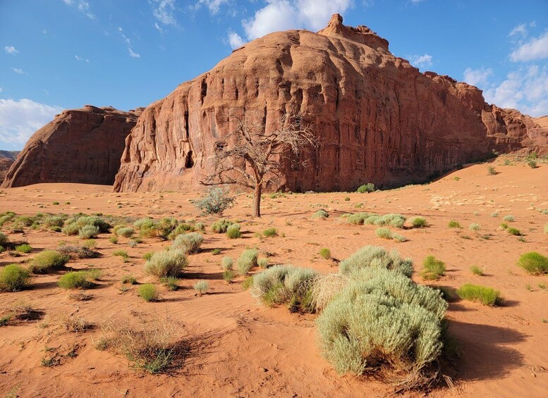 Picture 3 for Activity Monument Valley: Backcountry Tour with Navajo Guide 5