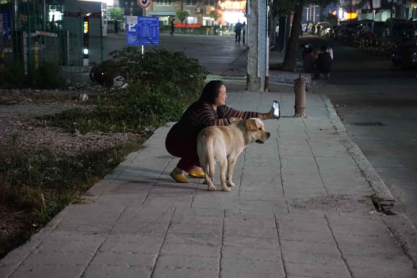 A person crouching on a sidewalk with a dog, a fire hydrant, and a street sign in the background. 5