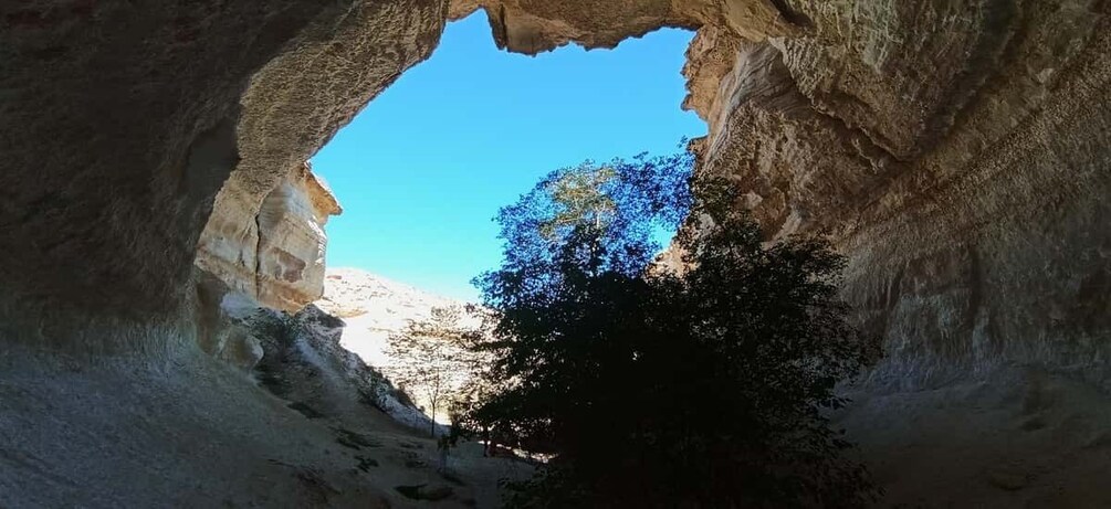 A cave opening with a tree in the background. 3