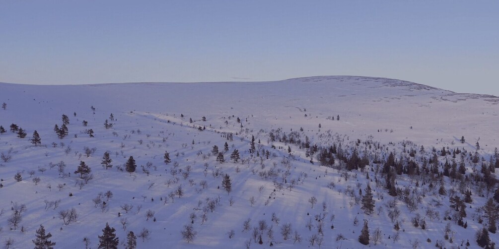 A snow-covered mountain with sparse trees and a clear sky. 3