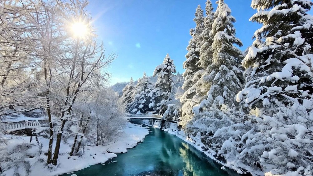 A snow-covered river, a wooden bridge, and dense evergreen trees. 2