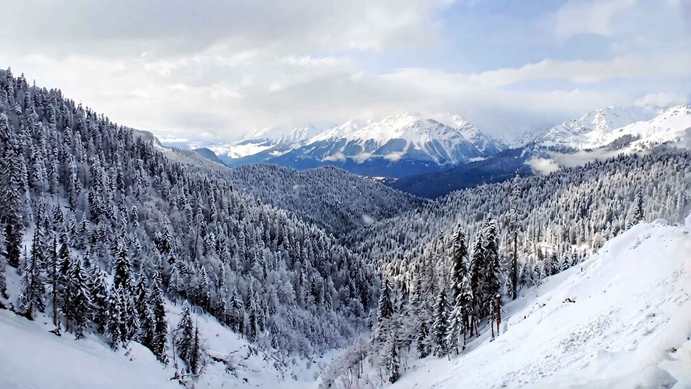 A snow-covered mountain range with dense forests. 3