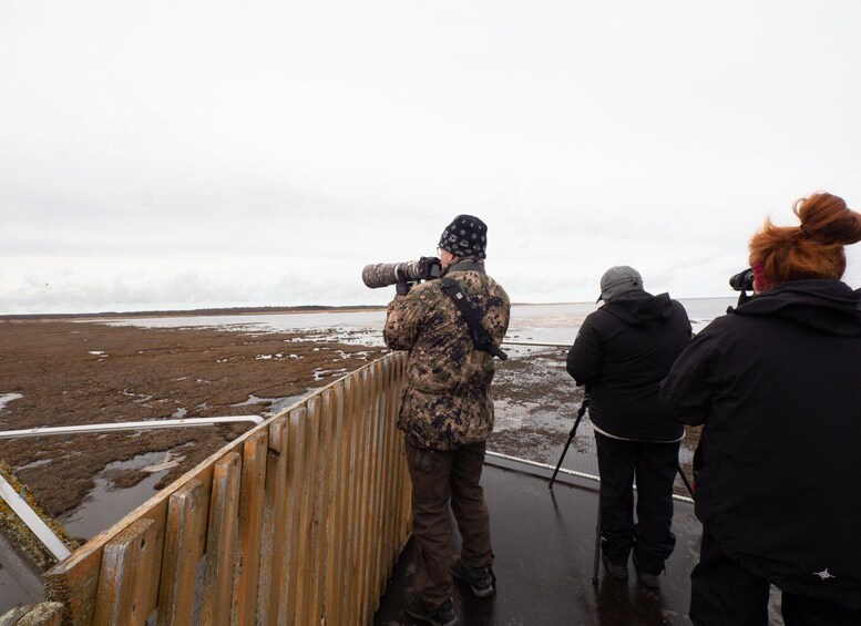 A person in camouflage observing the landscape from a wooden platform. 3