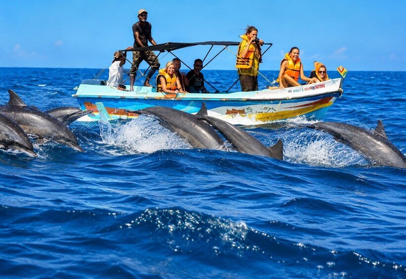 A boat with people wearing life jackets, dolphins swimming in the water. 5
