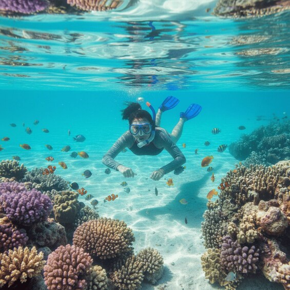 A diver swimming among colorful coral reefs. 3