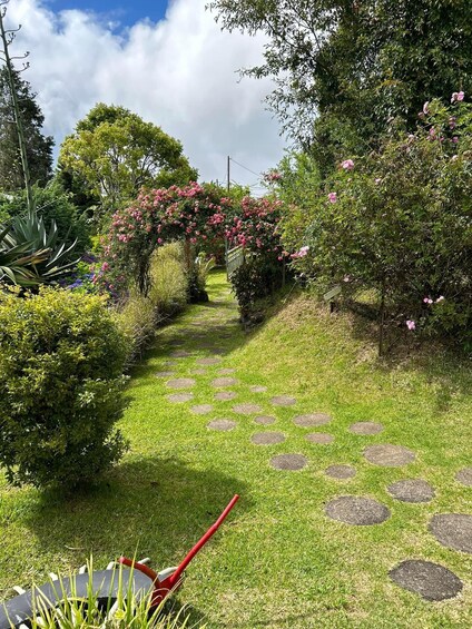 A garden pathway with stepping stones, surrounded by lush greenery and flowering bushes. 2
