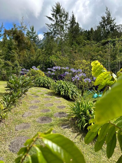 A garden with a stone pathway, various plants, and a mountain in the background. 4