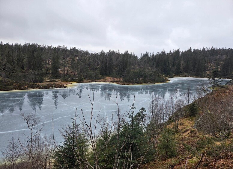 A frozen lake surrounded by dense forest. 1