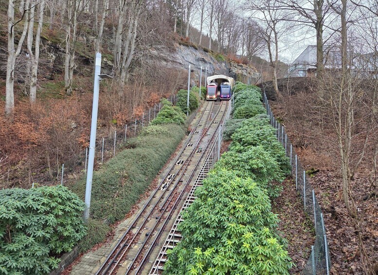 A train ascending a steep, tree-lined railway track. 5