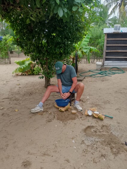 A person sitting on the ground under a tree, surrounded by coconuts and a blue basin. 5
