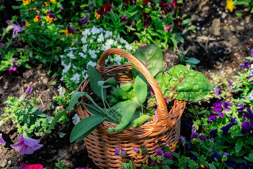 A wicker basket filled with green vegetables and leaves among colorful flowers. 1