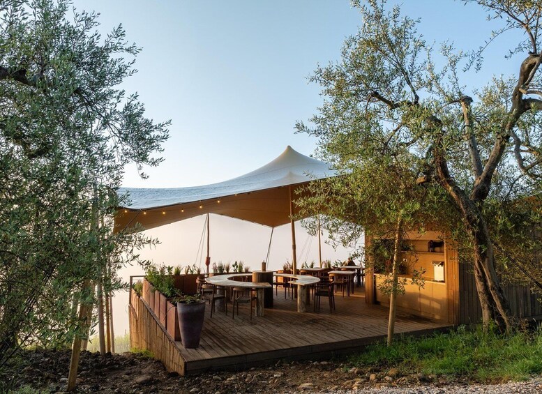 An outdoor dining area with a canopy, wooden tables, and potted plants. 2