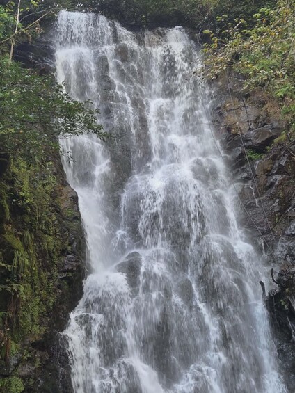 A multi-tiered waterfall surrounded by dense greenery. 5
