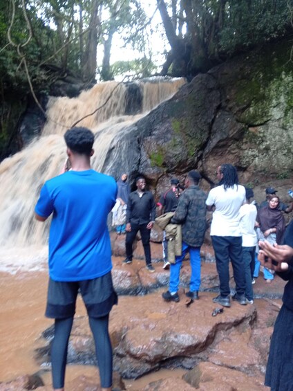 A group of people standing on rocks near a waterfall in a forested area. 3