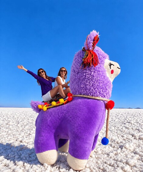From Uyuni: 1-Day Salt Flats Excursion with Sunset 1