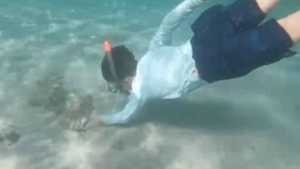A person snorkeling underwater. 3