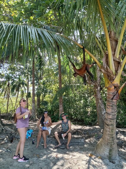 Three people sitting on the ground under a palm tree, with one person holding a bottle. 4
