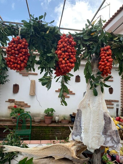 A garden with hanging red fruits, potted plants, and a rustic wall. 2
