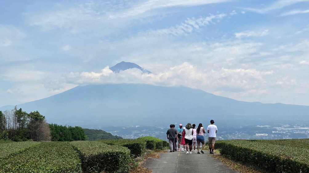 Picture 2 for Activity All-about Mt. Fuji Short Tour from Shimizu Port 2