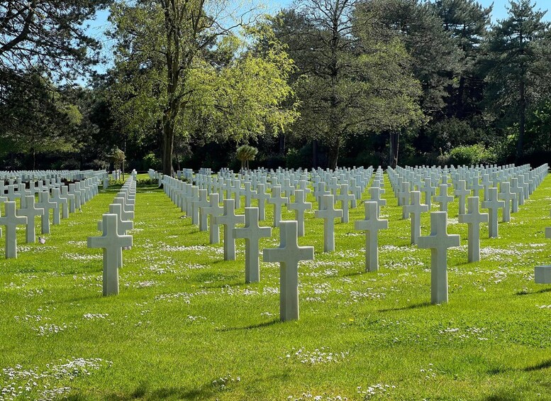 A cemetery with rows of white crosses on green grass. 3
