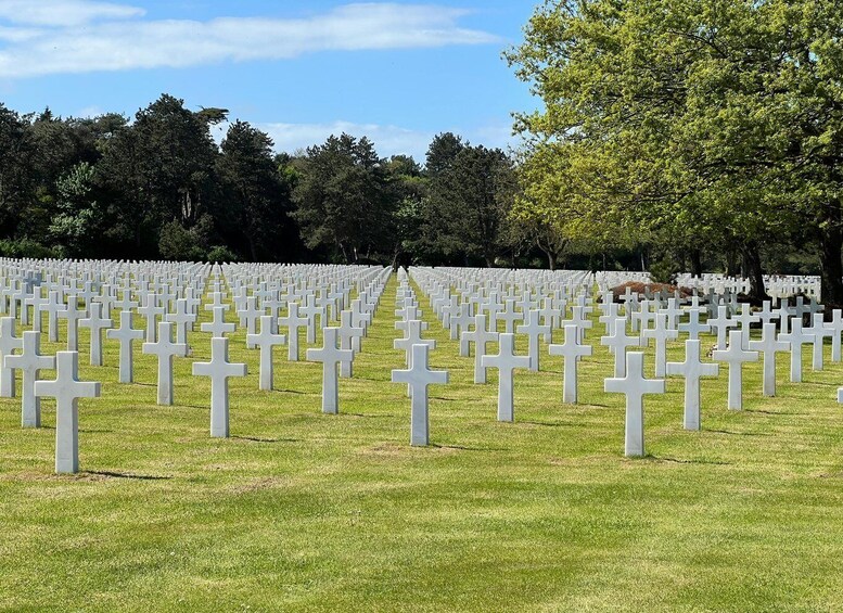 A cemetery with rows of white crosses. 5