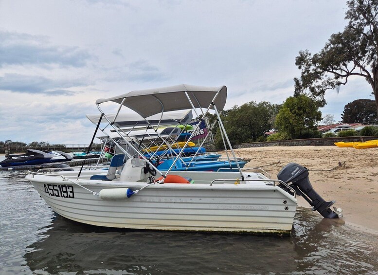 A white boat with the number 45593 on the side, docked at a sandy beach with other boats and kayaks in the background. 4