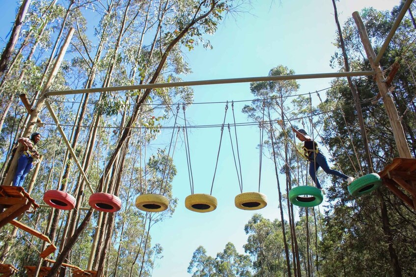 A rope course with suspended platforms in a forest. 3